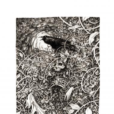 'Brambles' by Adam Oehlers 