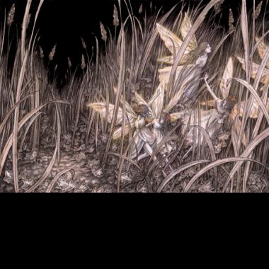 'The Fairies of the western wo